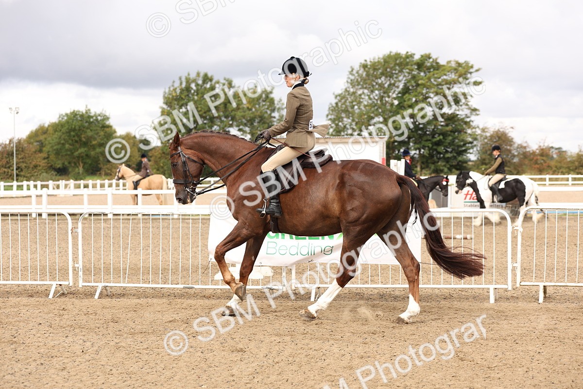 SBM_02847 - Class 53 - Ridden Competition Horse/Pony