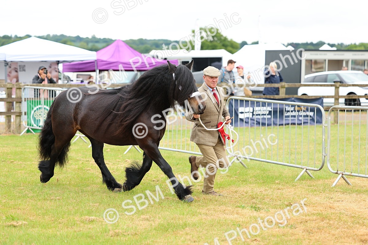SBM_00585 - Class 58-67 - M&M Non Welsh Pony In hand