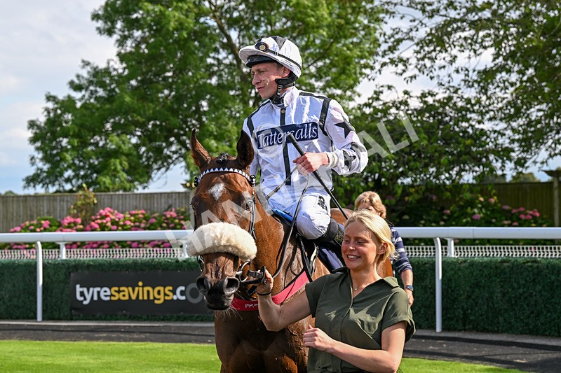 160724-Race 6-Blufferonthebus-9493 - Race 6
