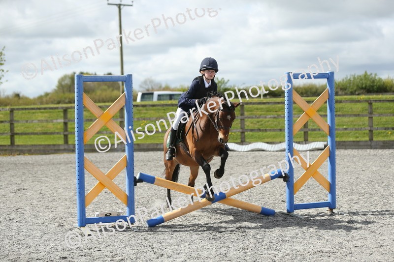 20260412-0760 - Show Jumping