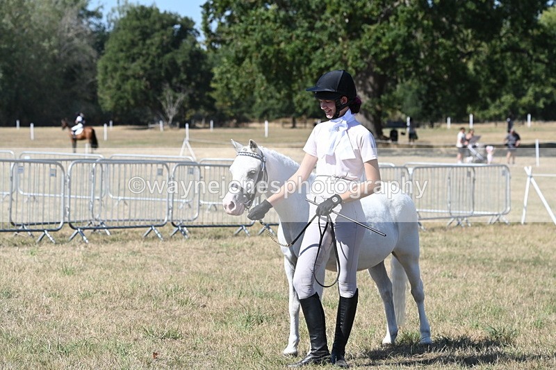 WJ6_9384 - Class 40 Cheekiest Pony/Horse