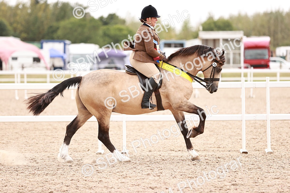 SBM_19091 - Class 422 - Ridden M&M