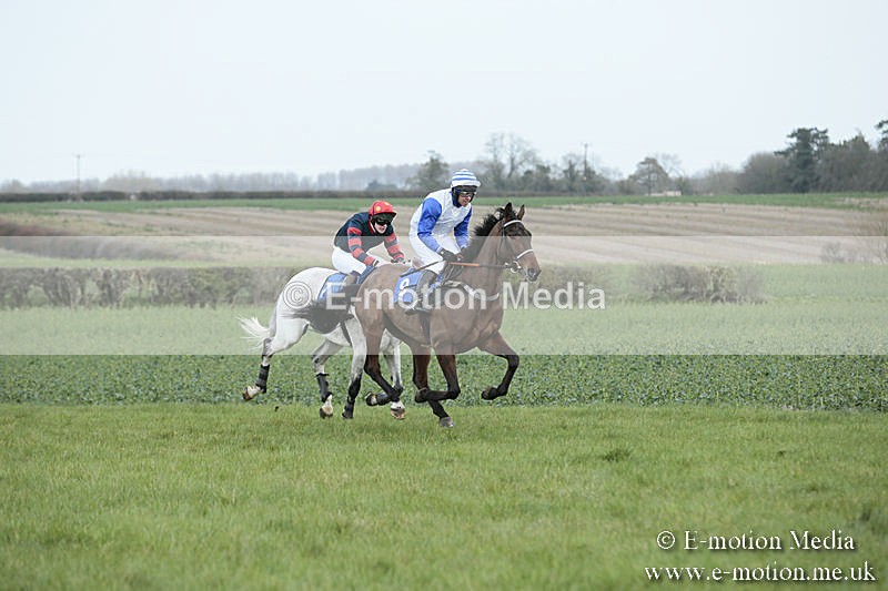 PtP 230319 110 - VWH Hunt Siddington Point-to-Point Racing 23/03/19