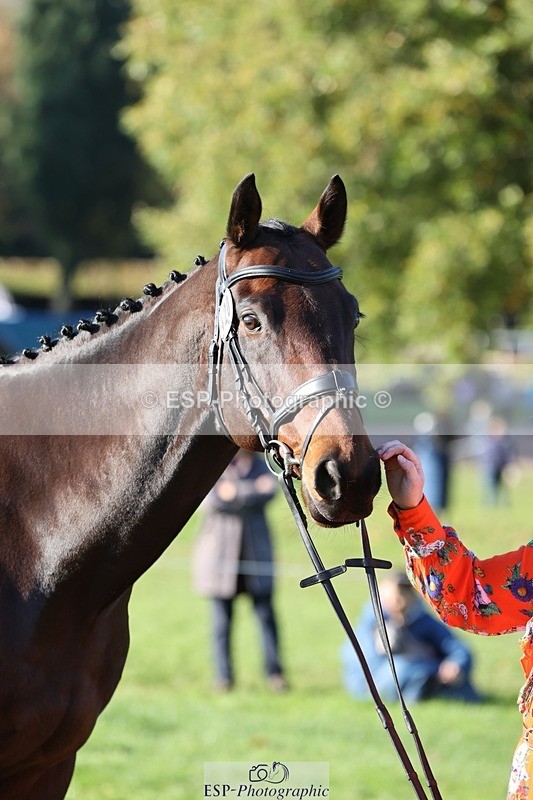 241027-092800-15317 - 420-Pip.Howarth-OTTAVA