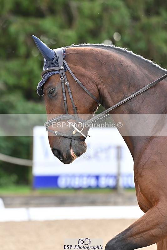 251023A-105857-01138 - C-224-Susie.Berry