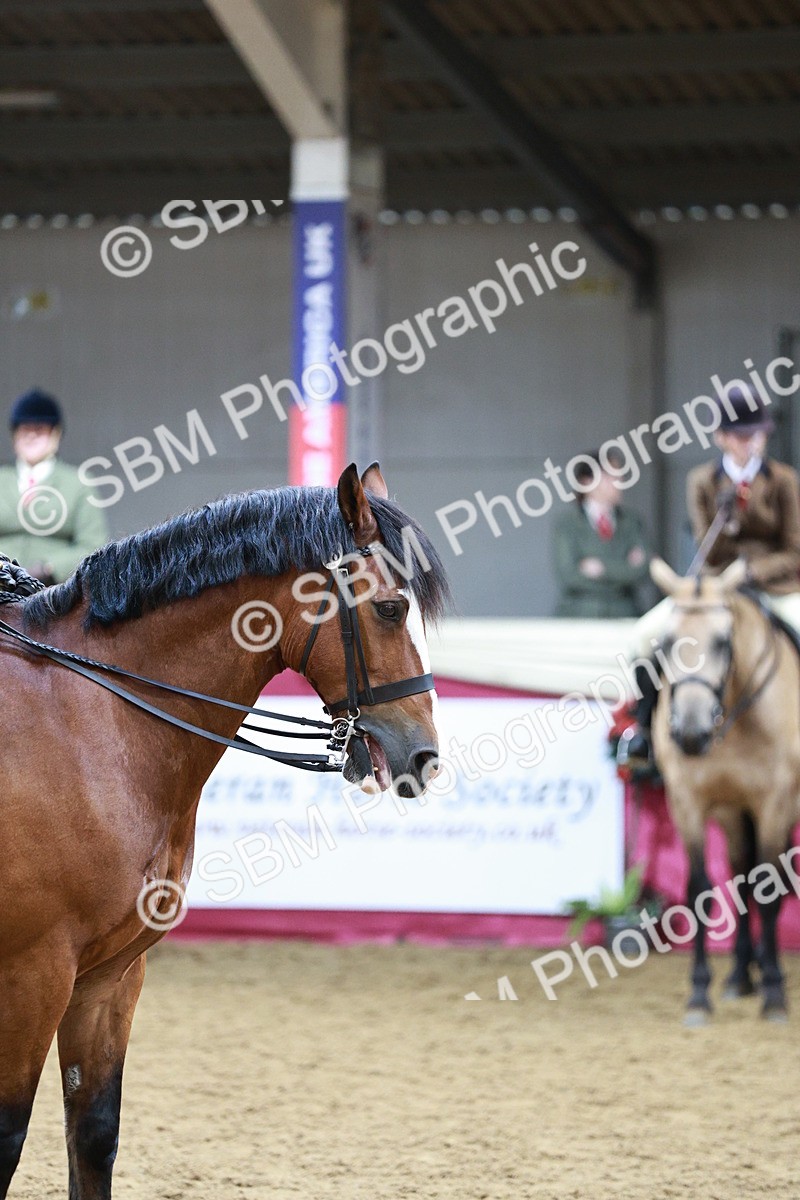 SBM_03606 - Class 6A Area Ridden Pre-Vet