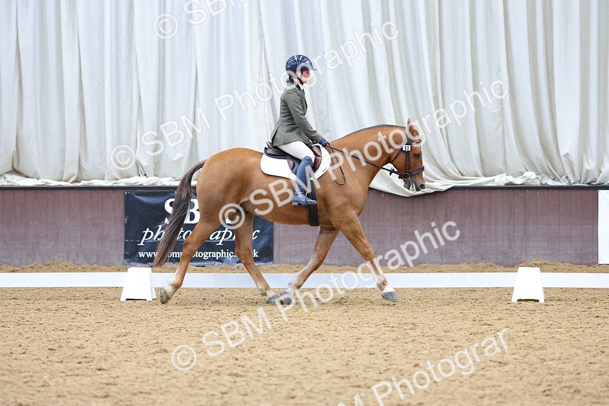 SBM_001948 - Class 5 - Novice 3