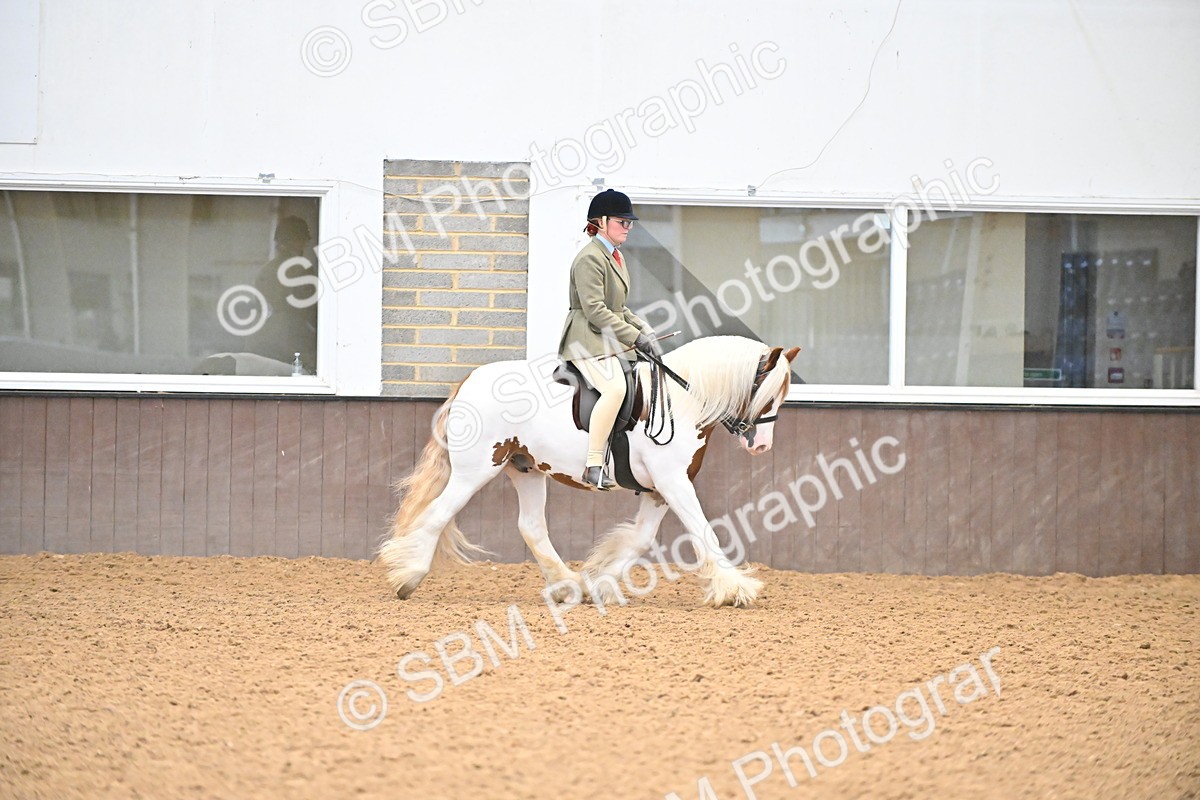 SBM_002627 - Class 28,29 - Ridden Irish & Coloured