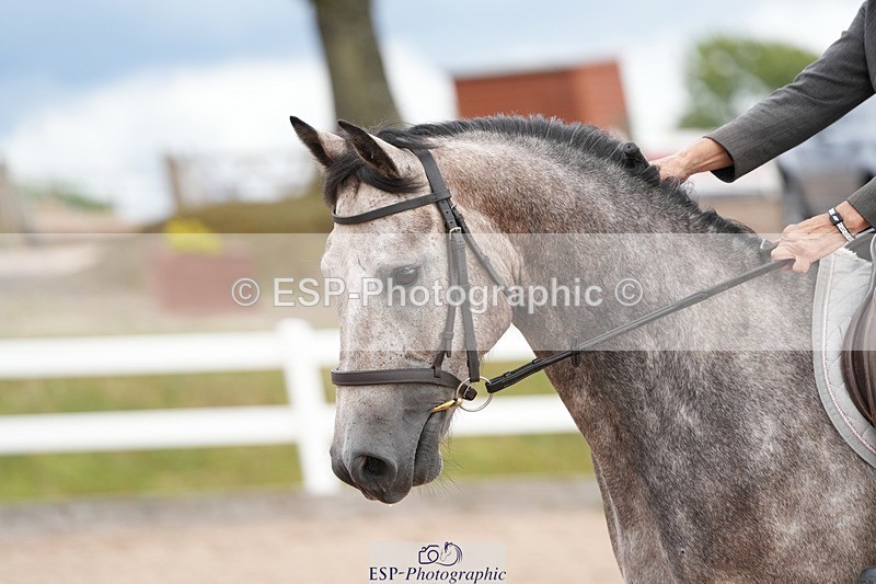 250722-151751-00066 - 60cm