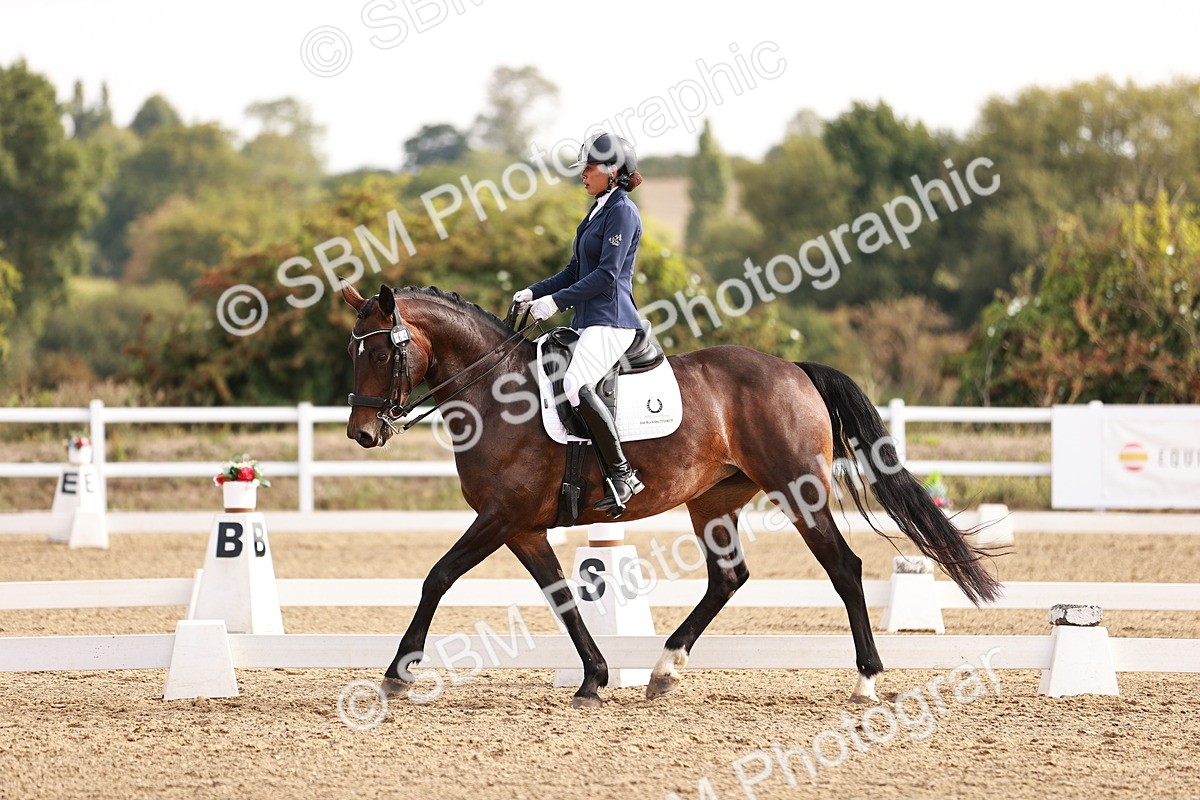 SBM_016931 - Class 10 - Medium 6