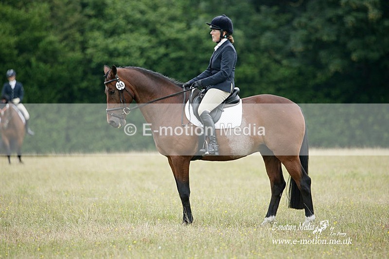 BVRC 030721 705 - Bourne Valley Riding Club Dressage 03/07/21