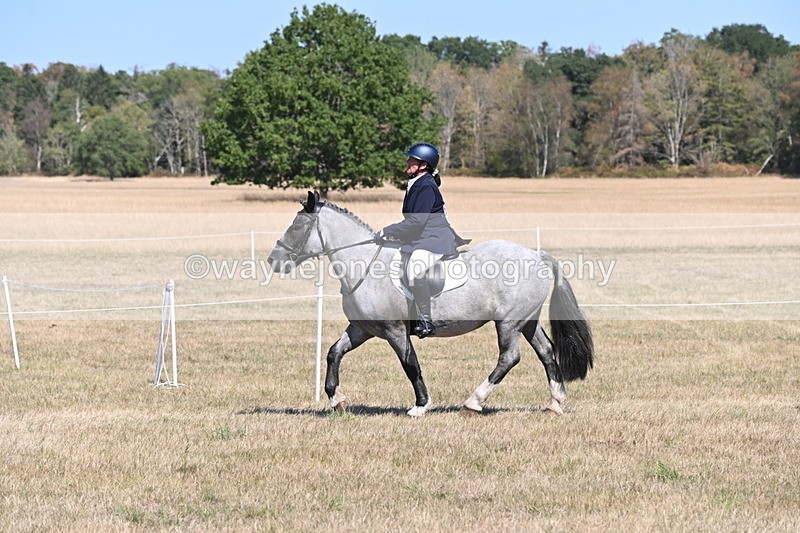 WJ6_8814 - Class 38 Ridden Riding Horse/Pony