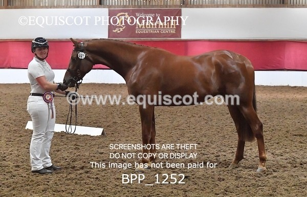 BPP_1252 - MORNING 9AM - 12PM