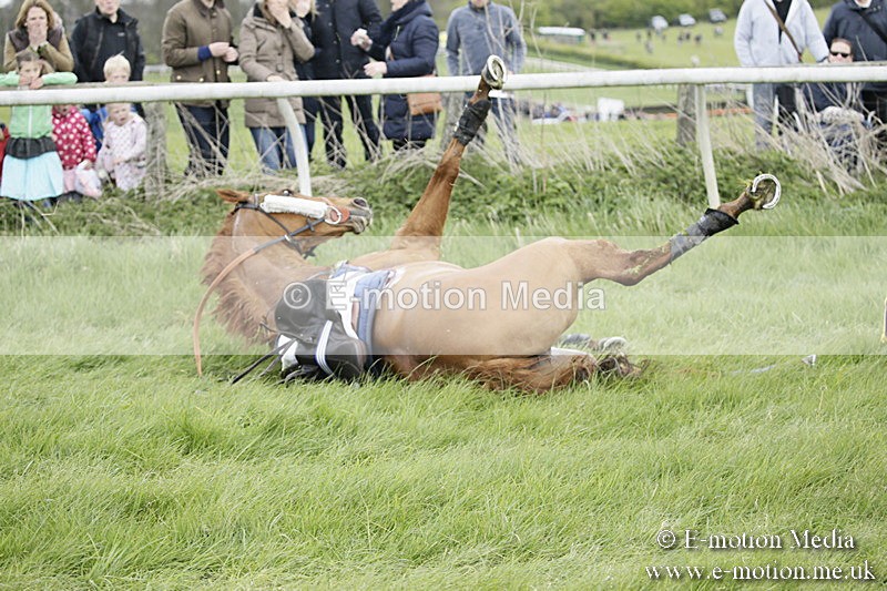 PtP 170417 46 - Old Berks Point-to-Point Lockinge 17/04/17