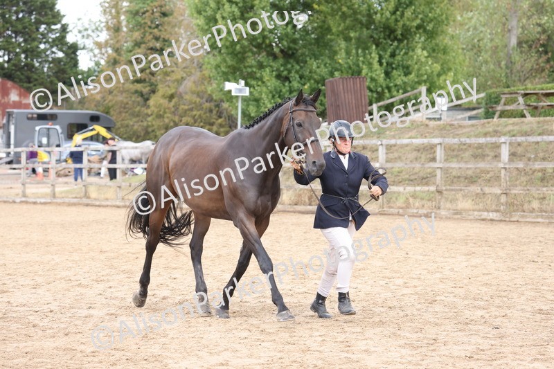 20260831-1943 - Class 5 - Retraining of Racehorses