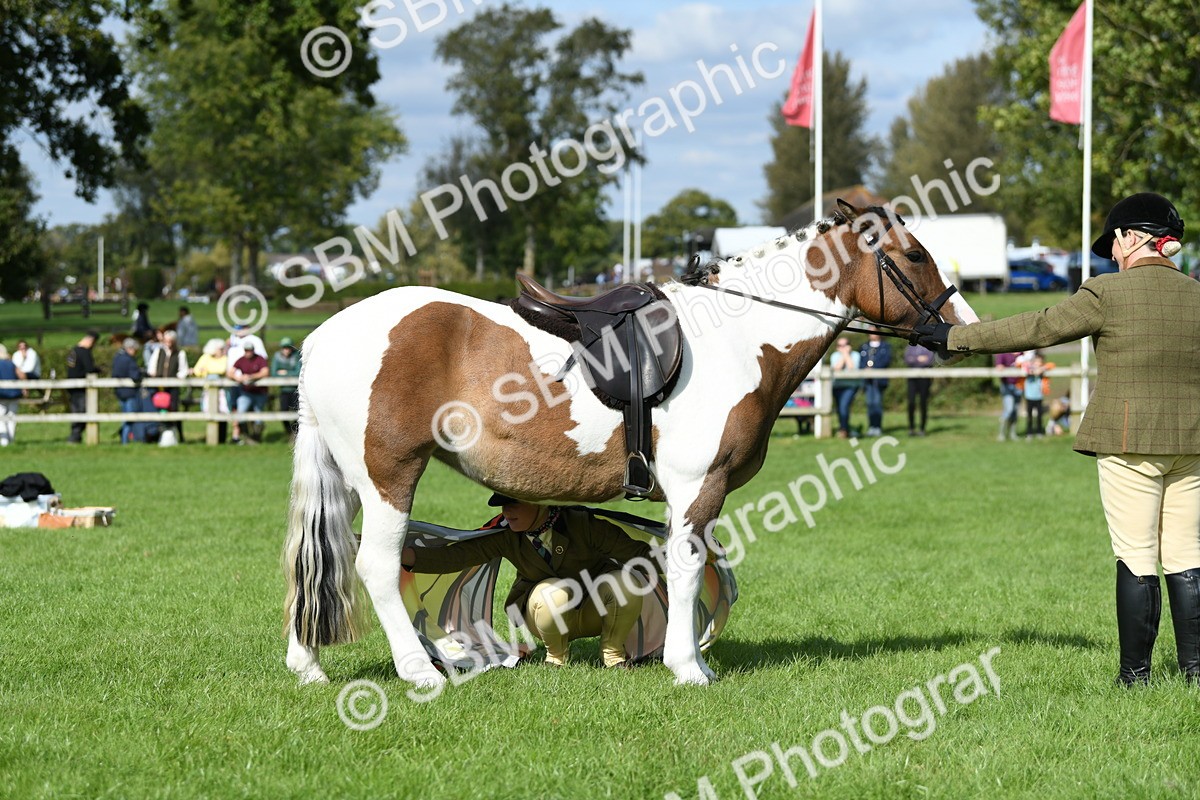 SBM_47135 - S12 - Family Horse & Pony