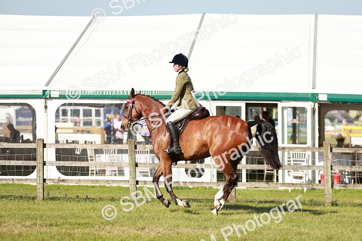 SBM_19245 - Class 115-116 - LIHS BSHA Rising Star Working Hunter & Show Horse