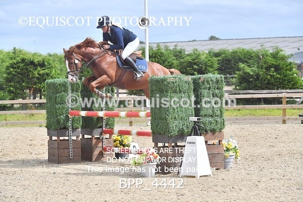 BPP_4442 - CLASS 13 SUN Senior Discovery/ 1m Open