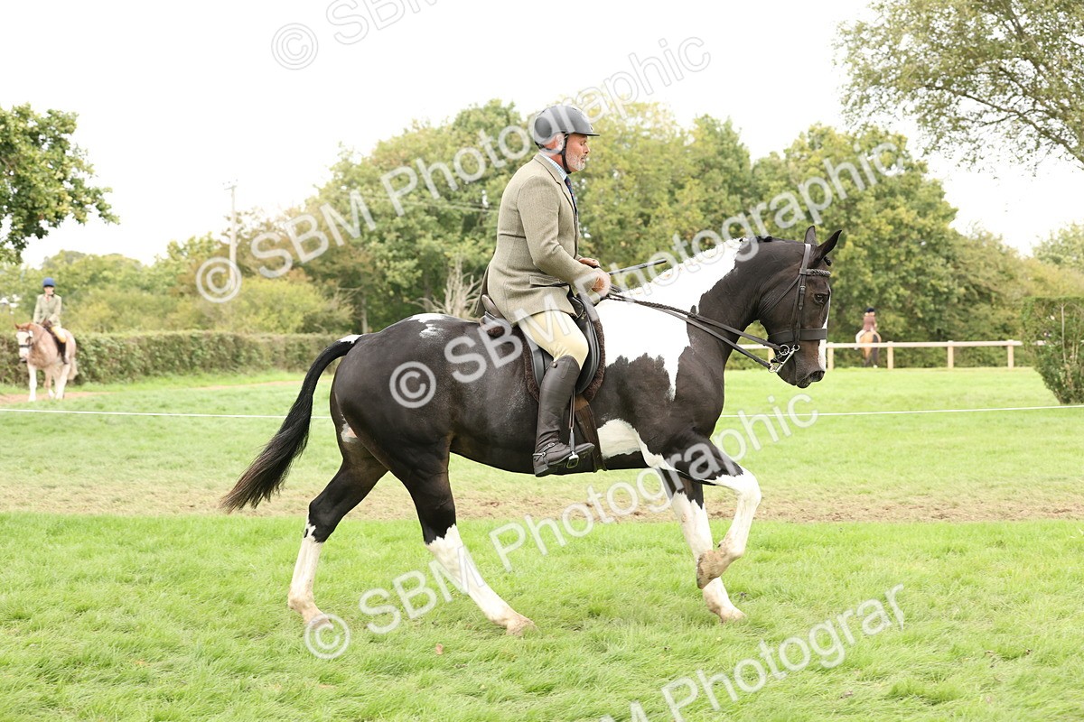 SBM_67231 - S67 - Piebald & Skewbald Horse Ridden