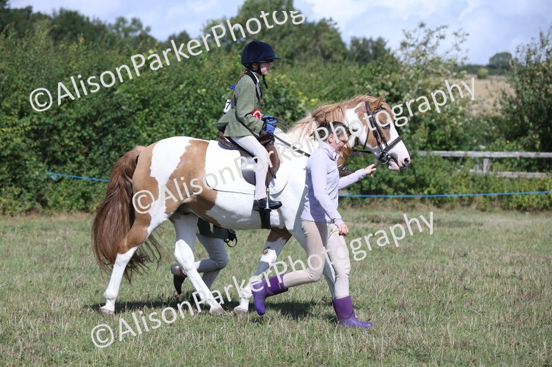 20250831-2576 - Class 16 - Family Pony