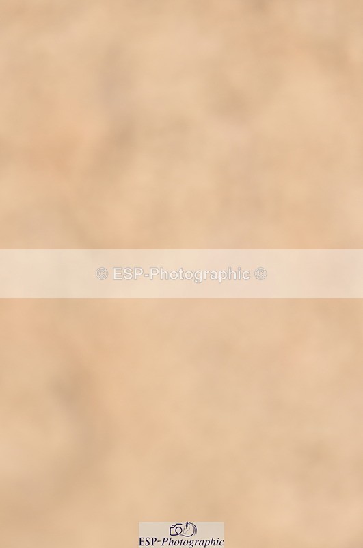 240403A-155410-01056 - Cls 5 Foxhunter and 1.20m Open