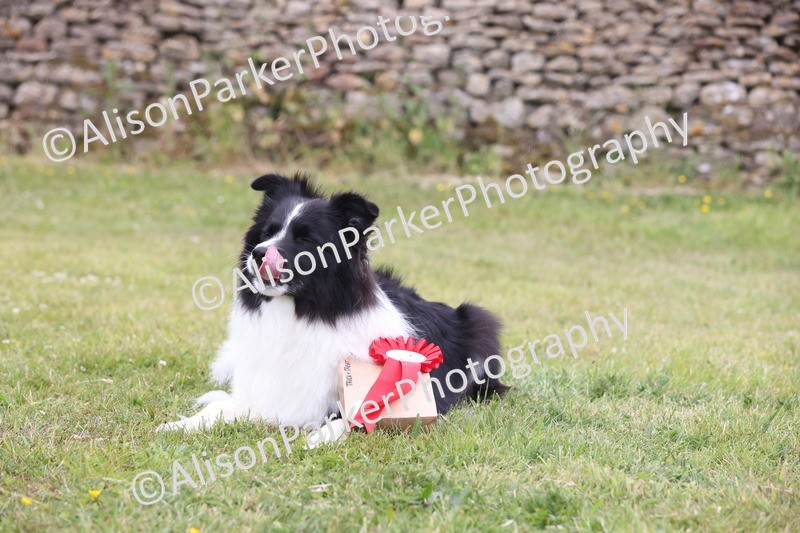 20250607-0253 - Class 5 - Trick and Treat