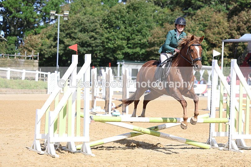 3E7A8653 - Class 7: 70cm Senior