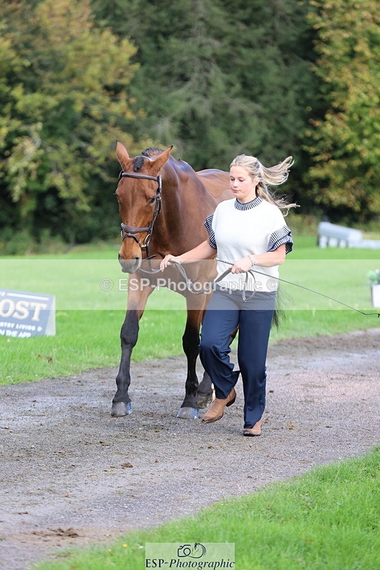 251026A-102653-22995 - E-386-Zara.Head