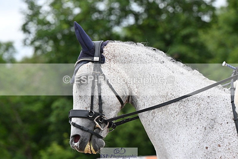 240622A-134105-10890 - Cls 37 BD Music Adv Medium