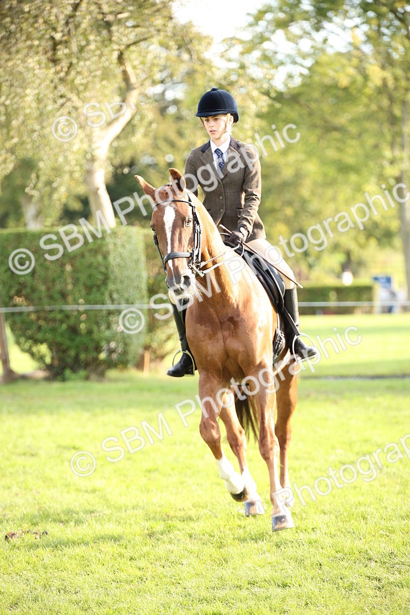 SBM_54299 - S27 - Mature Veteran - Ridden