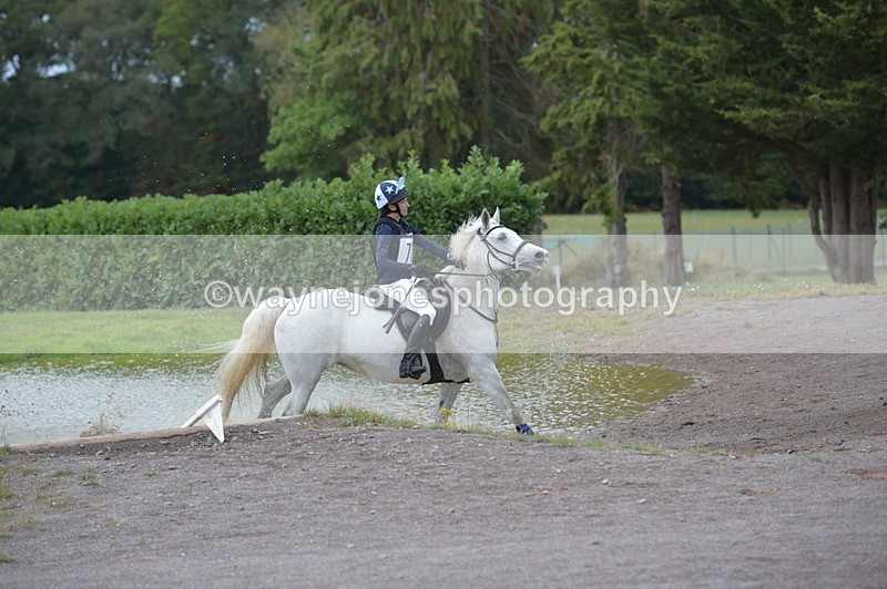 NGP_3373 - XC Time 11:59 to 12:15