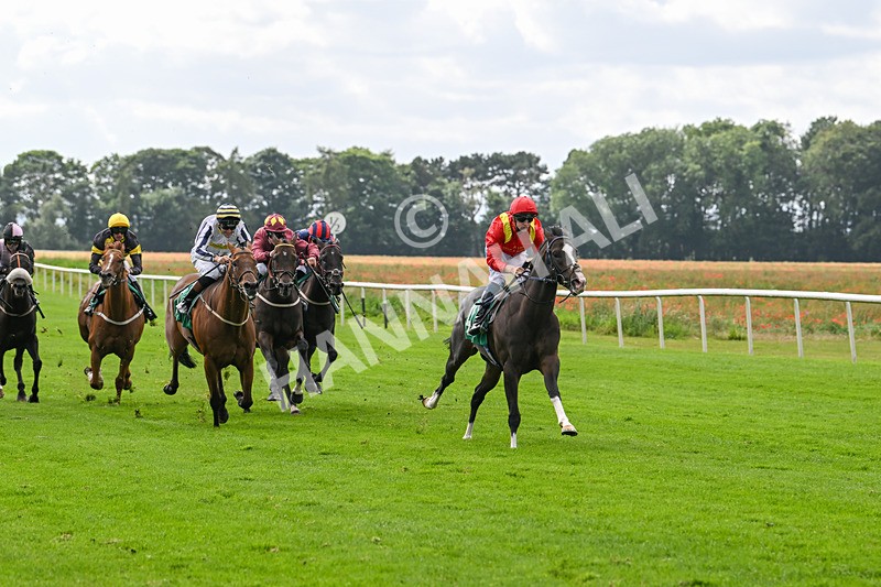 090824-Race 4-Law Of Average-4669 - Race 4