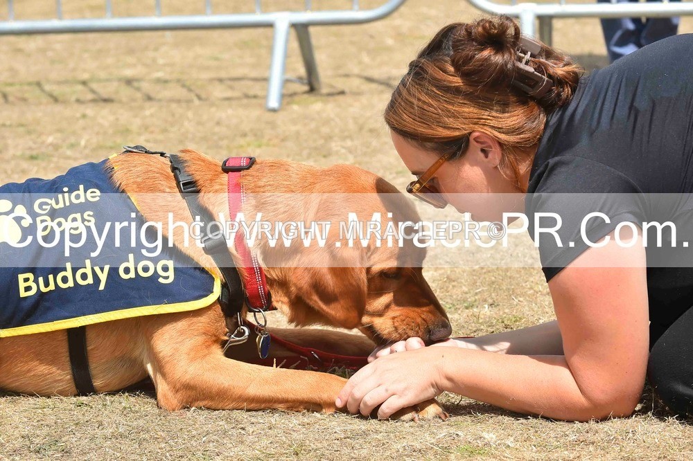 SH4_0242 - Dog show.