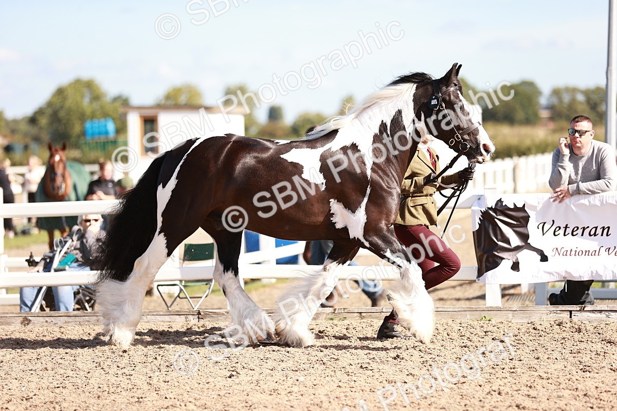 SBM_12580 - Class 404 - IH Traditional - Native Cob