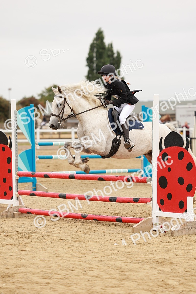 SBM_008233 - Class 5 - 80cm