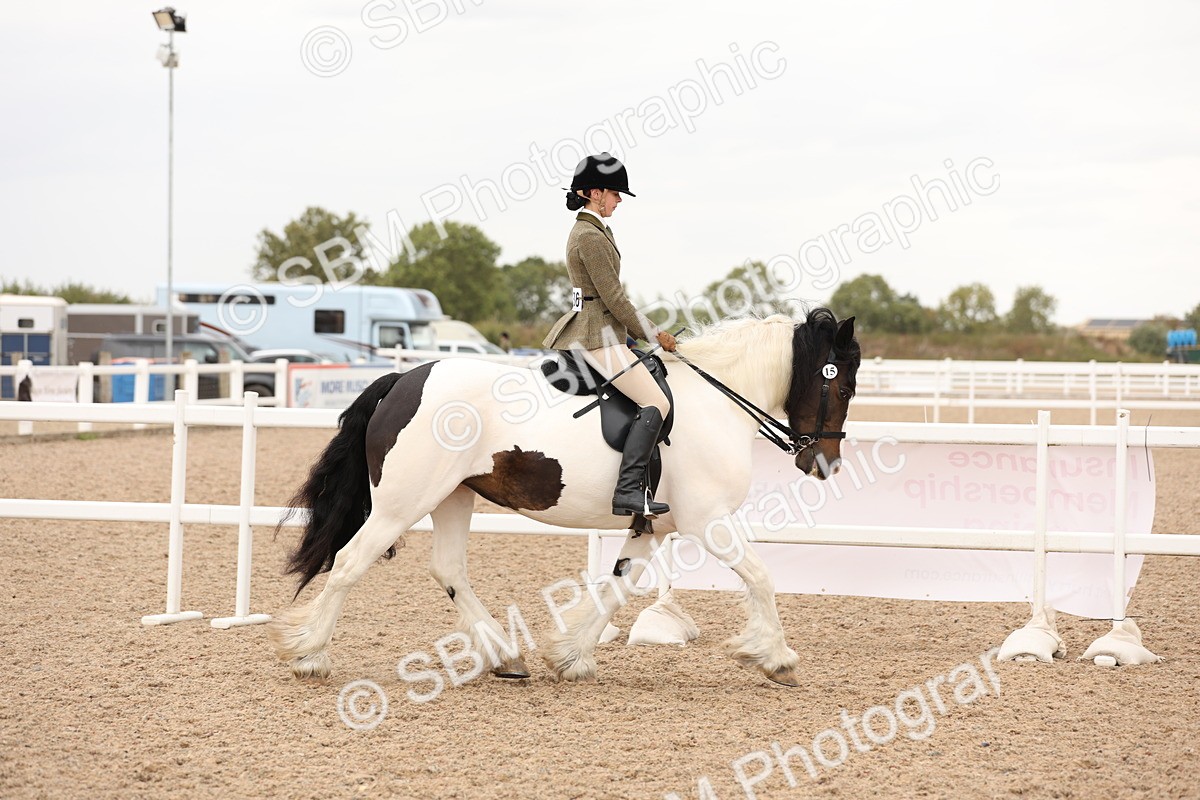SBM_19642 - Class 216 - Ridden Traditional - Native Cob