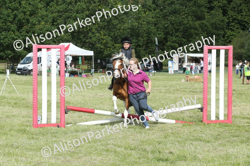 20260614-0156 - Class 1 - 30cm Lead Rein