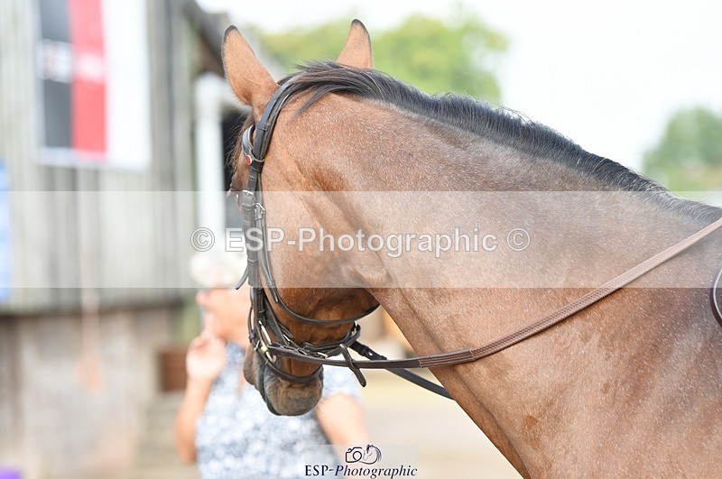 230817-083850-01572 - Kay's 1st Group - Arena