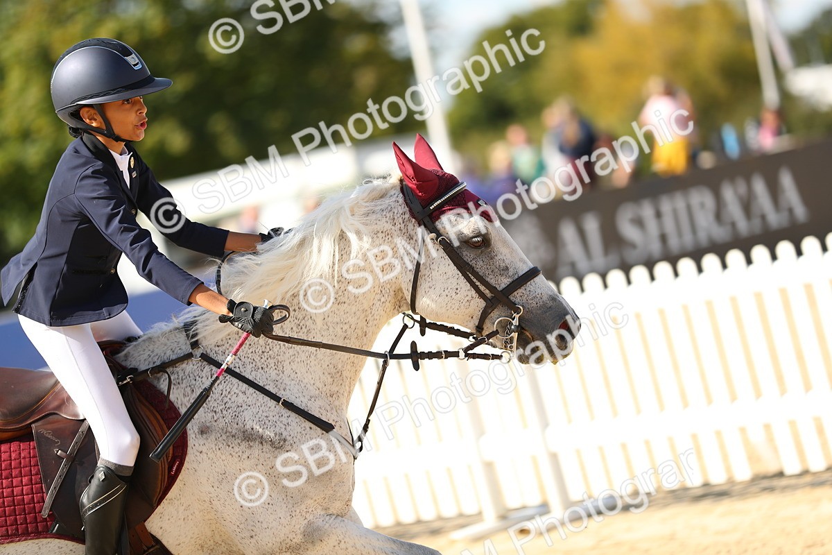 SBM_24060 - J45 - Accumulator 70 80cm