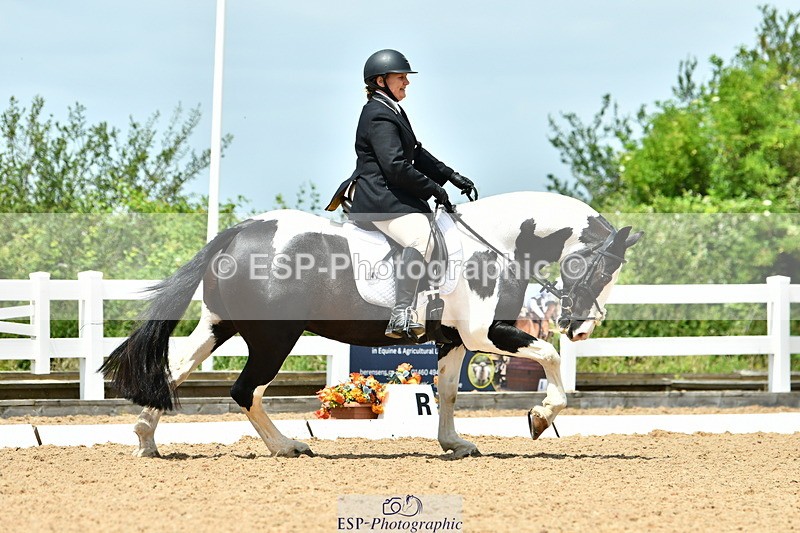 230702A-131220-09816 - Cls 28 Elementary 45