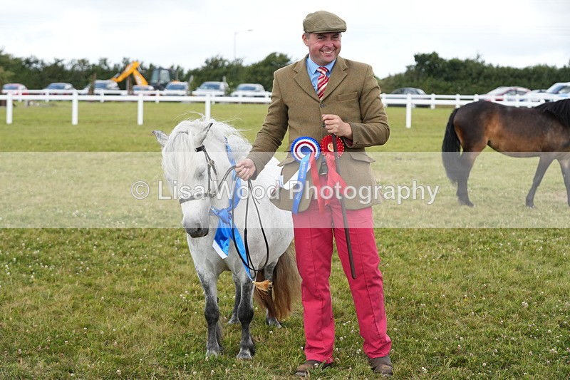 DSC06000 - NPS M&M In Hand Championship