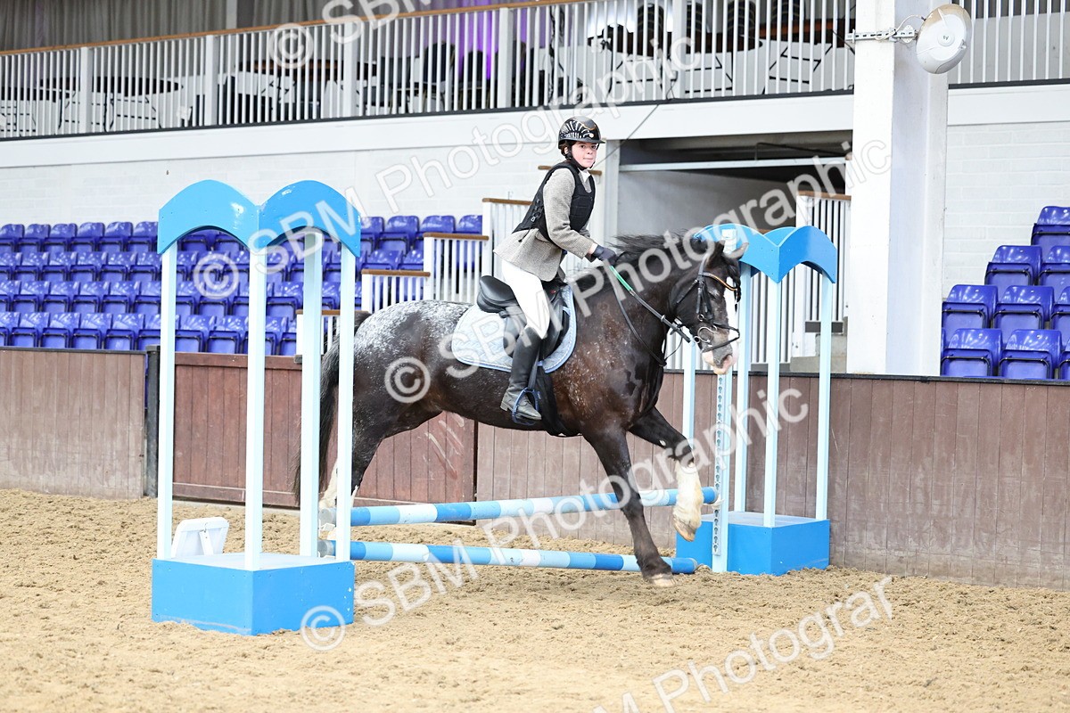 SBM_007375 - Class 2 - 50cm showjumping