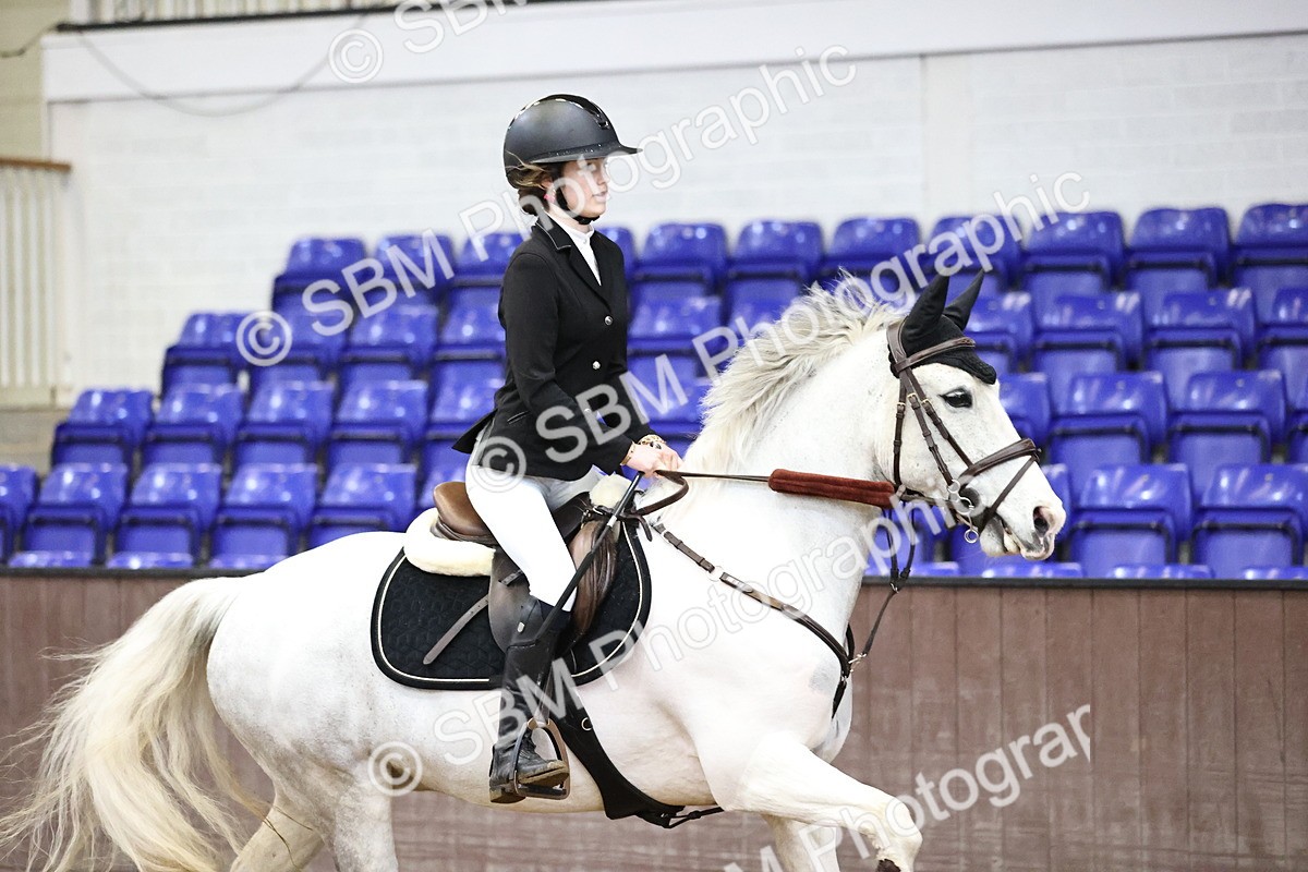 SBM_000365 - Class 2 - Pony British Novice - 80cm