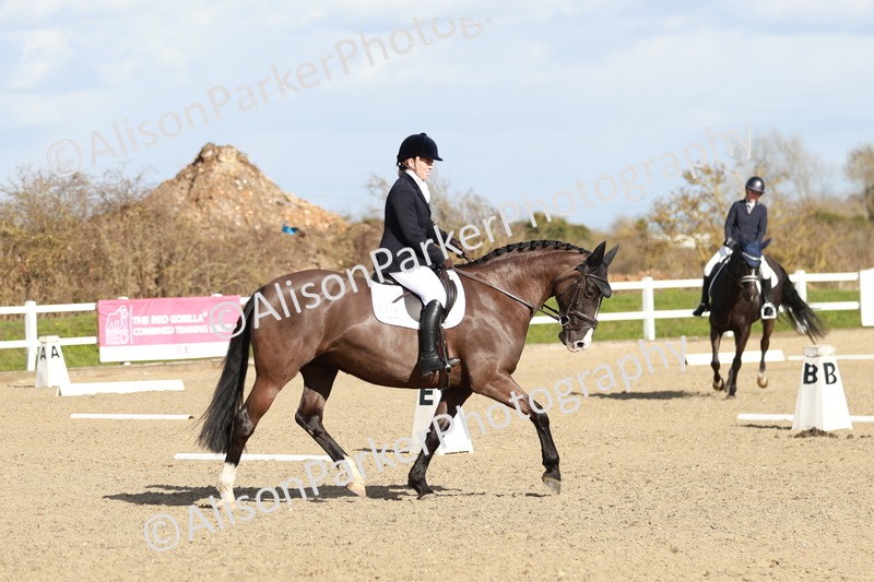 20260314-4472 - DR4 - Prelim 2