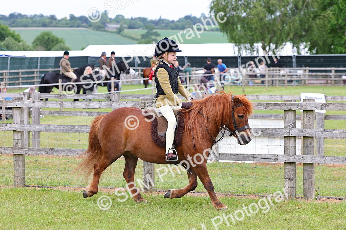 SBM_08508 - Class 42-43 - LIHS BSPS Heritage Working Sports Pony