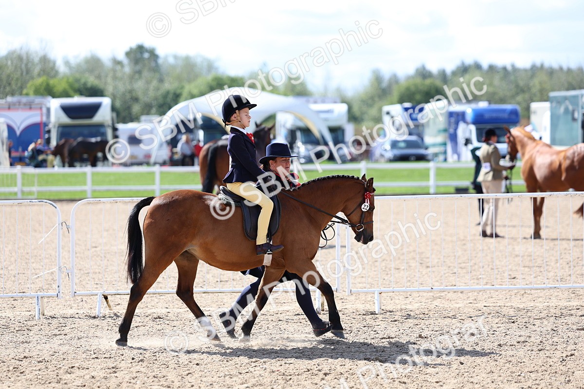 SBM_13039 - Class 309 - Lead Rein Pony