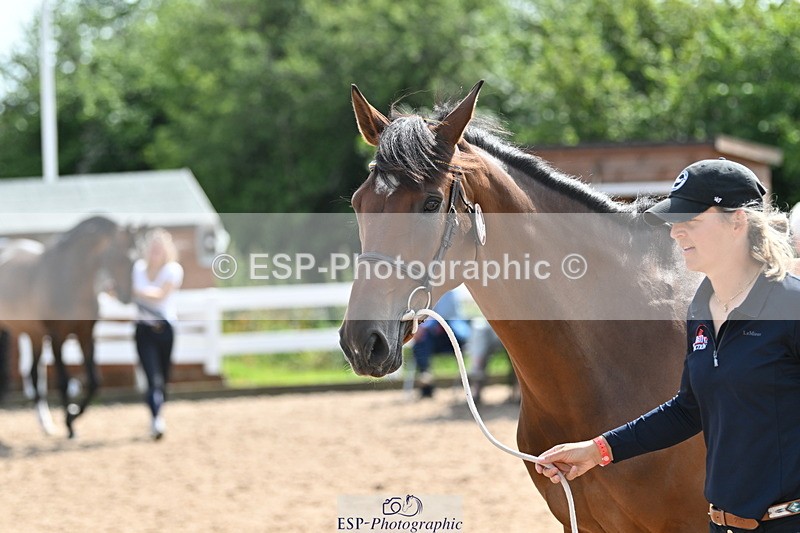 240717A-154531-03046 - Trot Up 3pm to 4pm