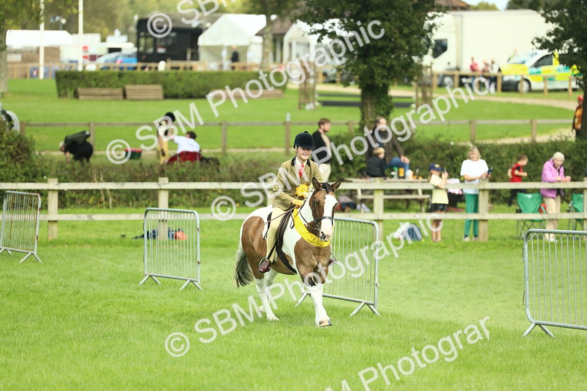 SBM_42259 - S29 - Novice & Newcomers Working Hunter Pony