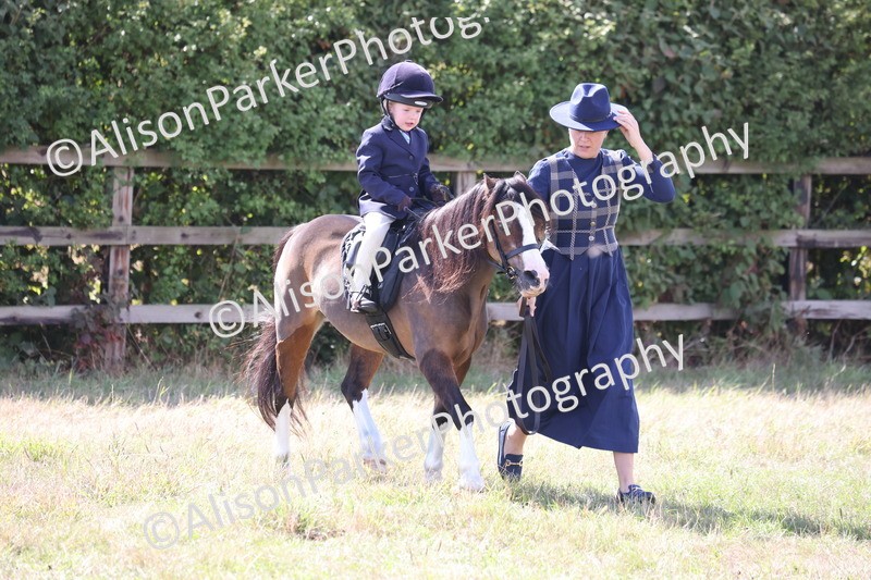 20260906-2799 - Class 25 - Absolute Beginners Pony