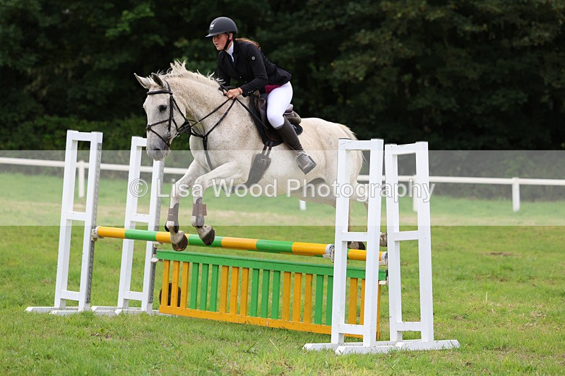 3E7A7086 - Class 5: Senior British Novice/90cm open